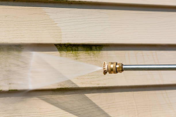Best Deck Cleaning Services  in St Bonaventure, NY