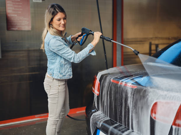 Best House Pressure Washing  in St Bonaventure, NY